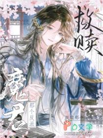 救赎那个反派魔君封面